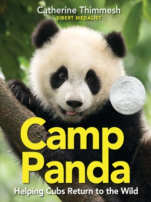 cover image of Camp Panda